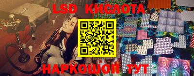 гидропоника Можга