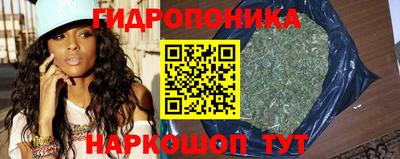 крисы Можайск